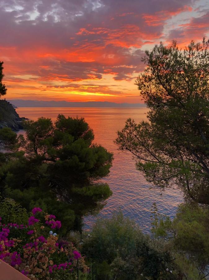 Cokkinis With Garden Overlooking The Sea * Varazze